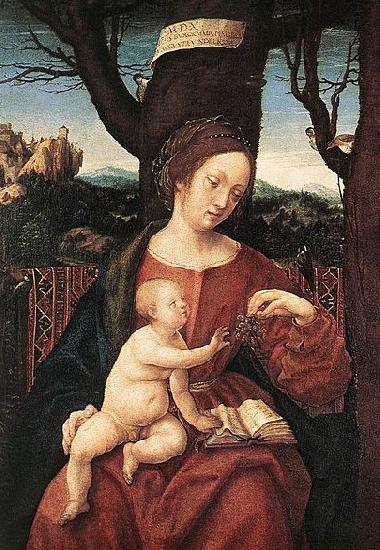 HERRERA, Francisco de, the Elder Madonna with Grape Germany oil painting art